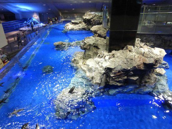 Aquarium de Sumida